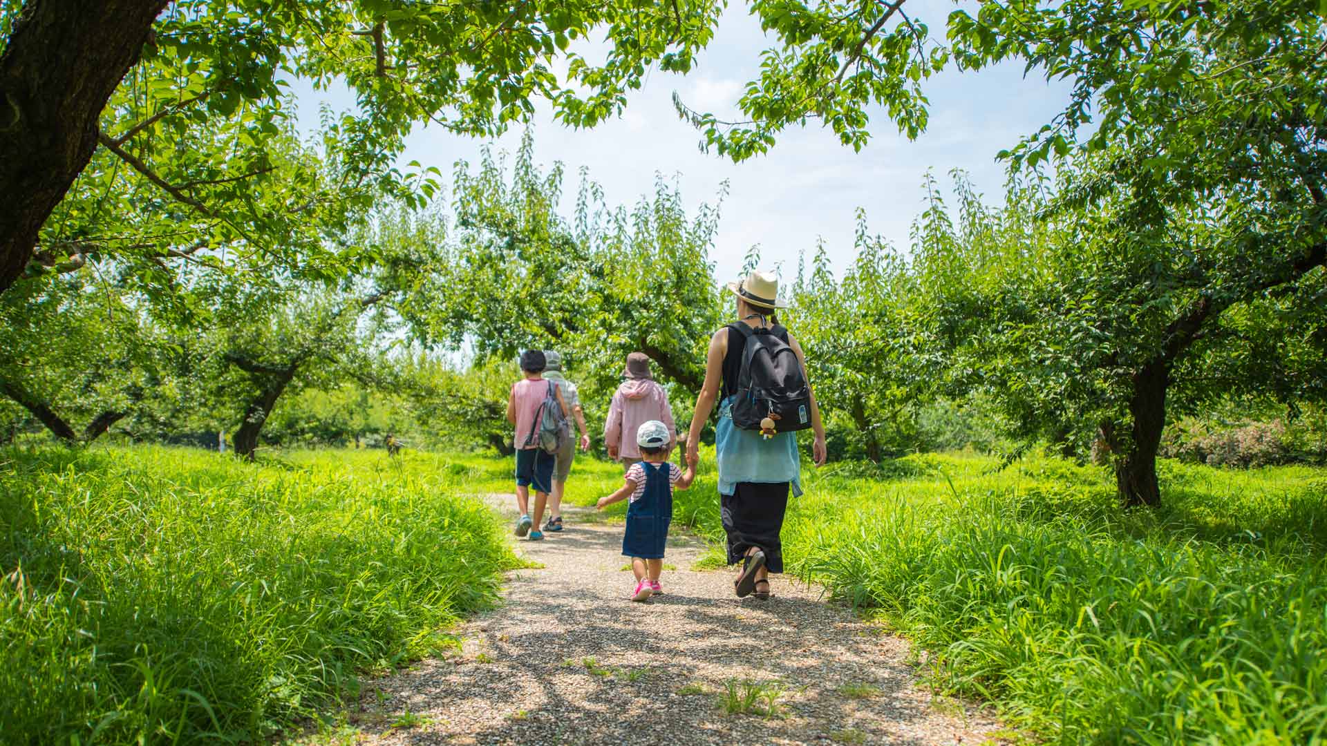 balade nature dordogne foret enfant famille