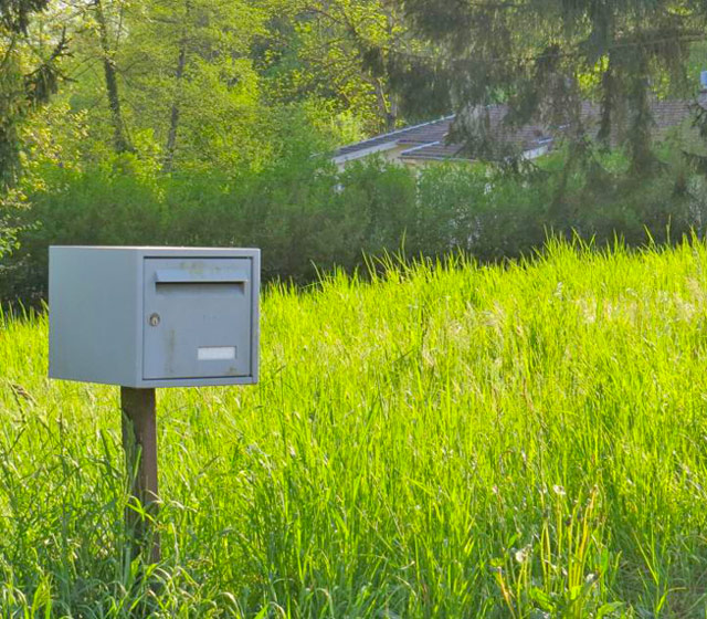 boite aux lettres nature herbe