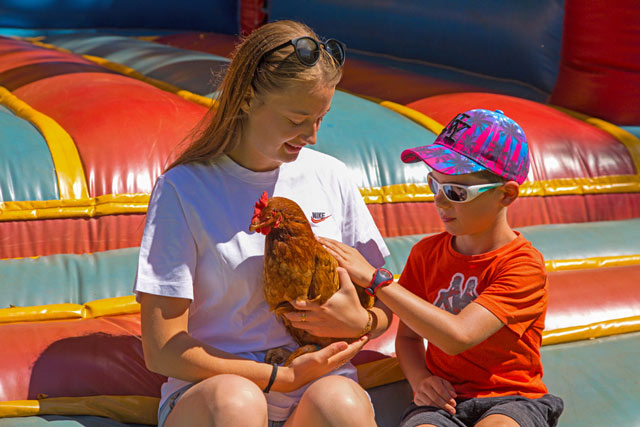 mini ferme camping les nauves fille poule