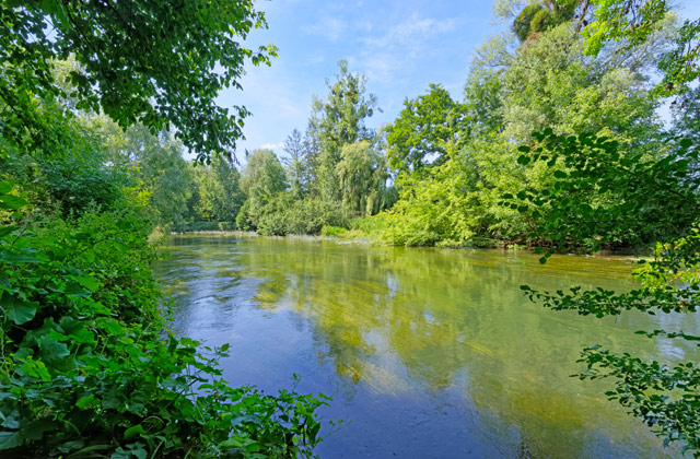 riviere foret dordogne